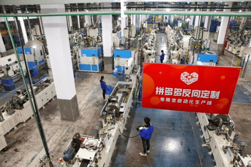 浙江制造借力拼多多 外貿轉內銷新路徑與自主品牌崛起