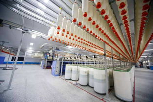 二手紡織設(shè)備 第9頁(yè) 網(wǎng)優(yōu)資訊