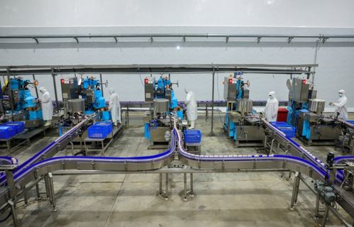 訂單足,市場(chǎng)旺 美寧食品罐頭智能化加工車(chē)間忙