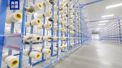 田間好&ldquo;豐&rdquo;光 新疆喀什700多萬(wàn)畝棉花進(jìn)入采收期