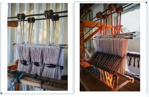 非遺考察培訓(xùn)進(jìn)林芝 品味民族文化,共赴非遺服飾之旅