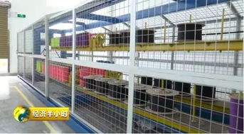 厲害了 望里鎮登上央視 經濟半小時 ,看蒼南傳統棉紡產業如何 老樹開新花