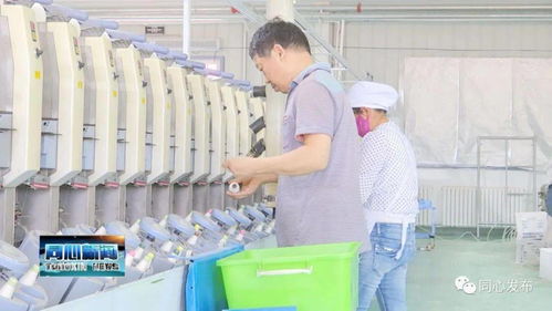 下馬關鎮三山井村扶貧車間開業了