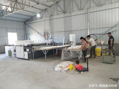 想在農(nóng)村老家辦個小型衛(wèi)生紙加工廠,需要投資多少錢呢