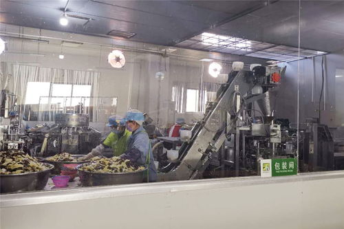 農行云南省分行發放近百億元助力企業復工復產