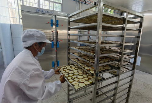 火熱盛夏,鄉村振興如火如荼